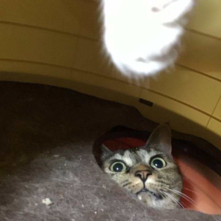 5fa65d56 fc14 4996 9ea8 669f4147d317 1726994834813