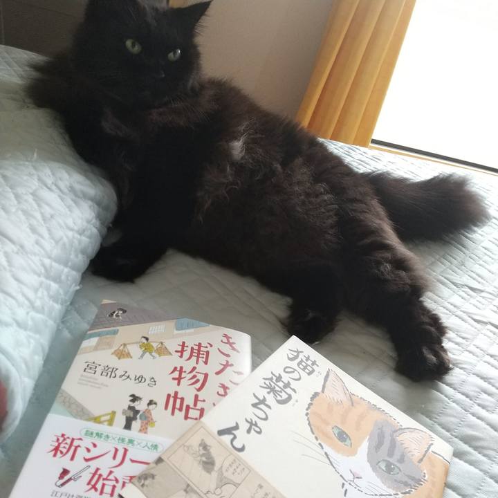 5fa6c745 c155 41d3 8c62 997d850da346 1597383467977