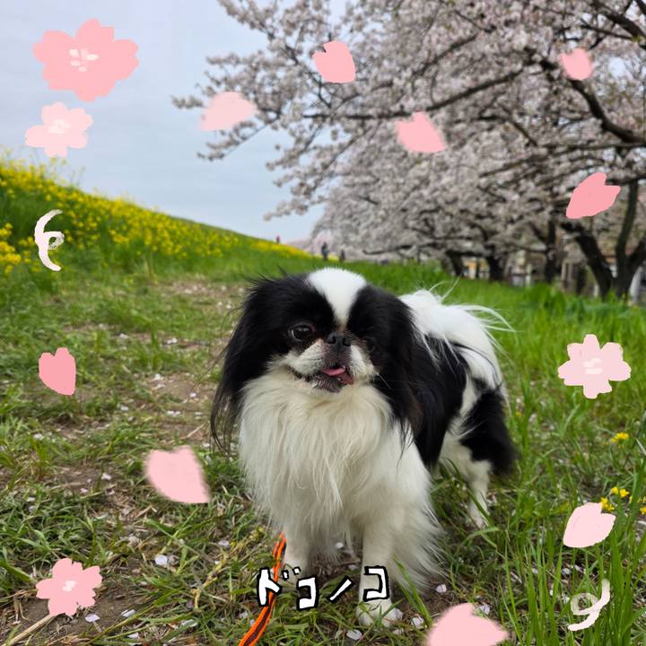 5fa6d068 b079 4d15 a0cd 0b32c224407c 1744250673216