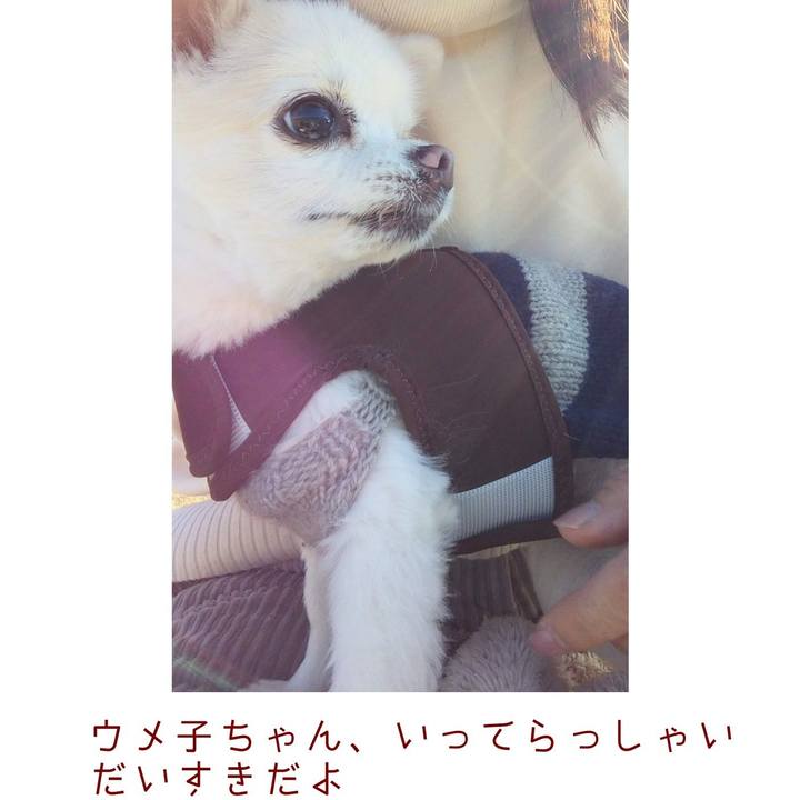 5fa6eb70 c5fb 4bd3 9a78 eec9f88b7c4c 1674917796816