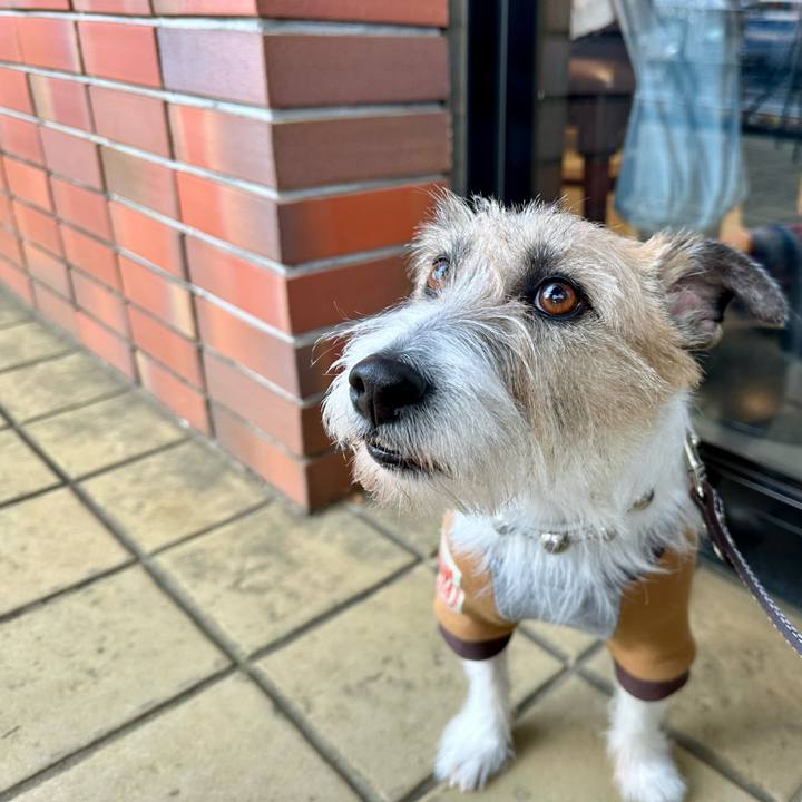 5fa70d1c 91a0 426c ac45 46acbfe63de6 1741529671912