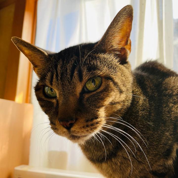 5fa71702 5c88 48d0 a590 9564a569ce0c 1607131704085