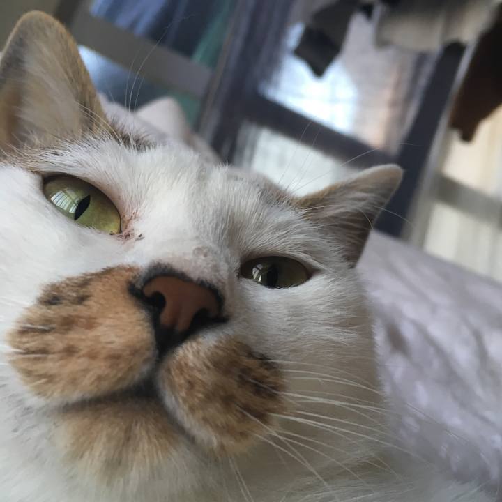 5fa72011 7ed5 4b38 ab8e c7623a9d38c7 1512803155343