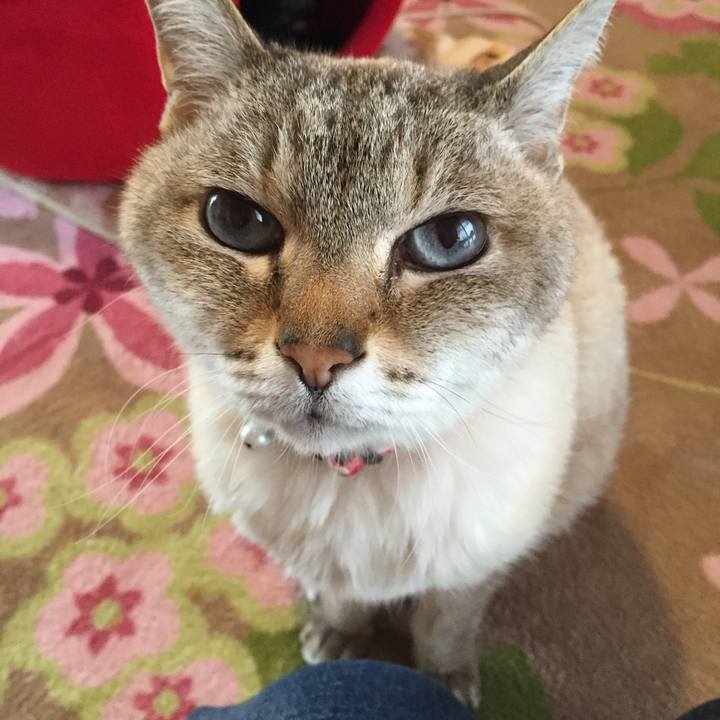 5fa74219 7251 47f6 aee7 2fd8d271d51d 1523230288695