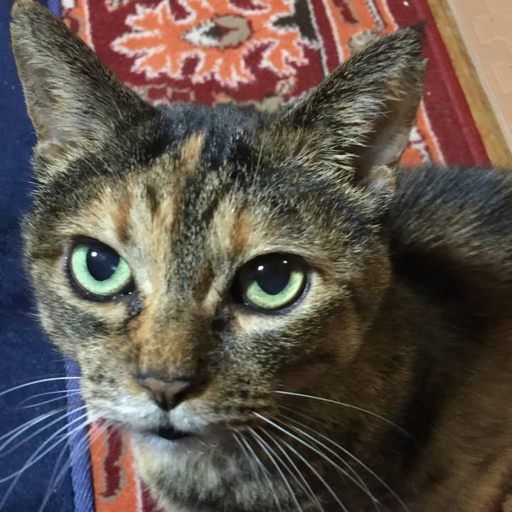 5fa744a4 7e9e 4c5b b6dd c5914c9d0941 1545830394475