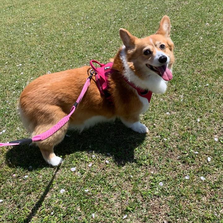 5fa74b14 39b5 4cd5 962b 323241ab043c 1712718480952