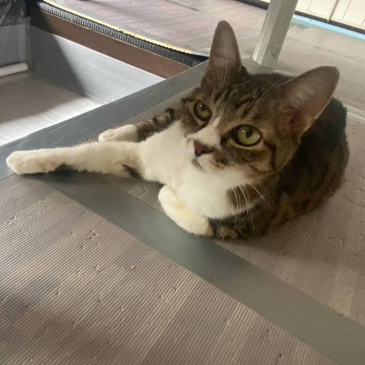 5fa7711e 8302 4243 91d6 7ad8529aa840 1658105357397