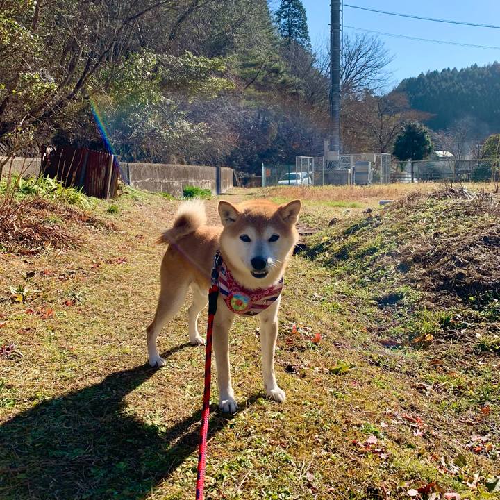 5fa77c95 977a 4fb4 acdd 6ffe9491d4bc 1640248774475