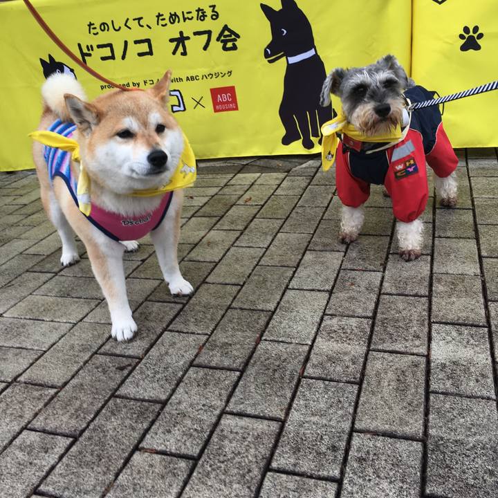 5fa77e76 c2ca 4681 a63b 90b94b6d37de 1590881942289