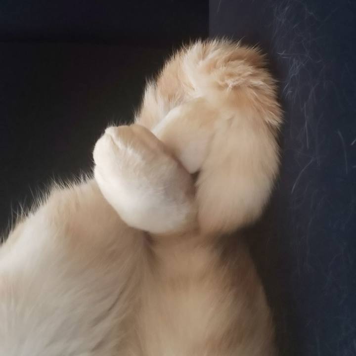 5fa7f582 fd29 4b1e b912 ea50d14cc589 1541736352542