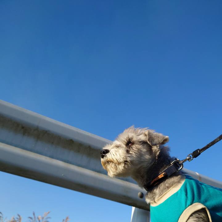 5fa81071 e13e 42e0 b7d8 b440ea6617a4 1763853445212