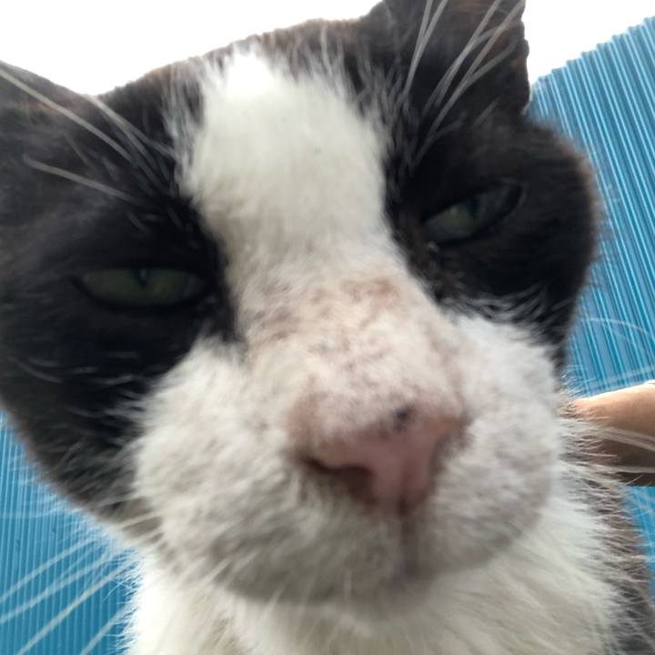 5fa817c9 ef25 486e be58 756ba78121ef 1563104851598