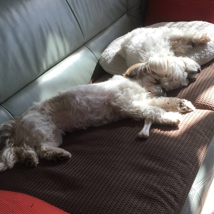 5fa849d6 0ff4 4edc ac7c 5e3f6ea8a7b2 1518668314625