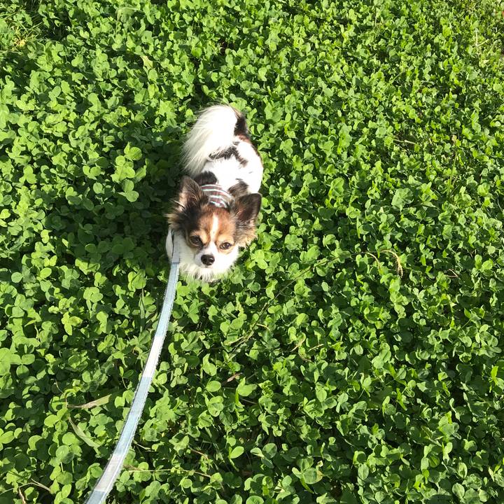 5fa86cc4 994c 447b b2f6 16d105860be1 1541902711903