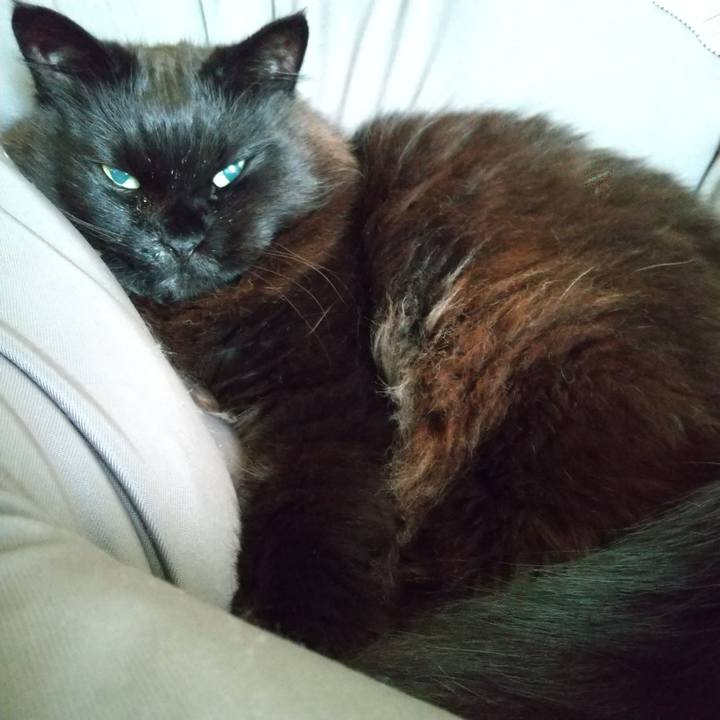 5fa86da8 7471 43c9 953c 6760bbadf8a7 1620201020150