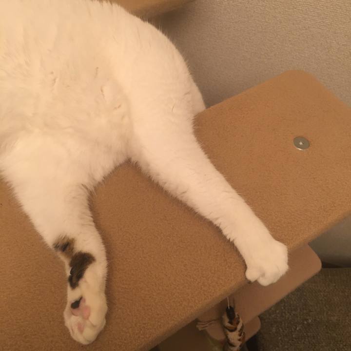 5fa89bbf db55 4d25 9906 36ab7462086a 1612457228409