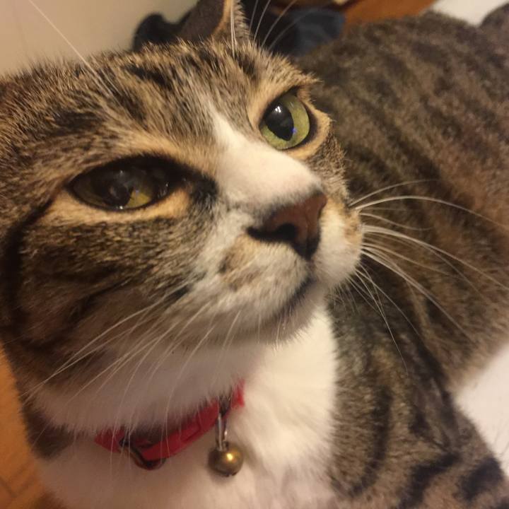 5fa89de8 1fd8 4535 bf2c 06e8796f50ba 1564578373296