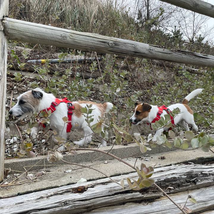 5fa8bbb2 f84d 40ee 9d99 68c556468a6f 1669163353269