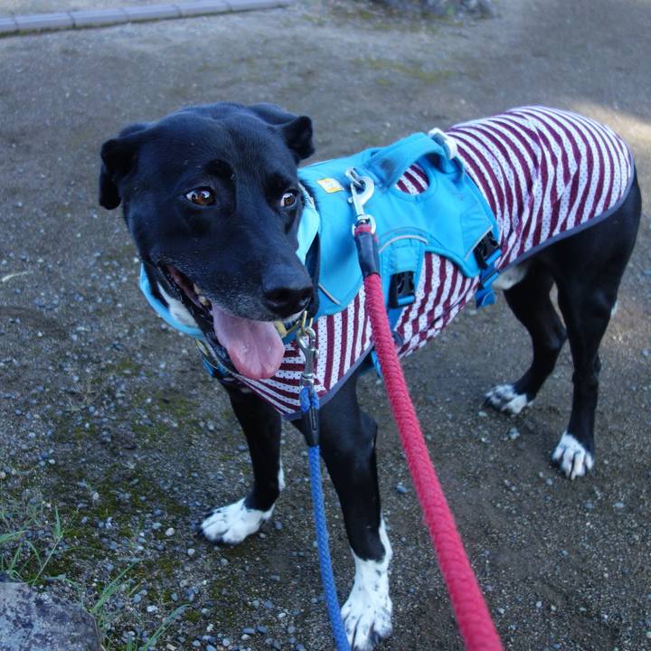 5fa8ea11 026f 4cf3 8e67 e8b1a4973322 1627428265323