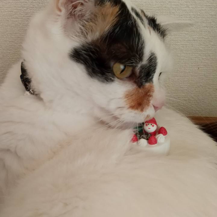 5fa8f307 666f 4cb5 84c9 e0f50d2e4e9a 1608809197606