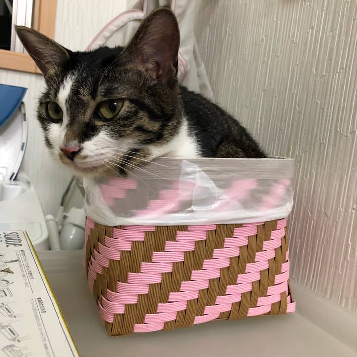 5fa91eef 9fd7 4599 a6b9 b004df92b133 1533417388835