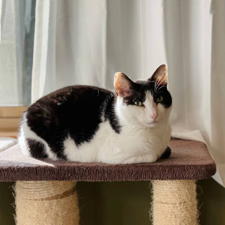 5fa935da 202b 4617 82be 068141893046 1619748211341