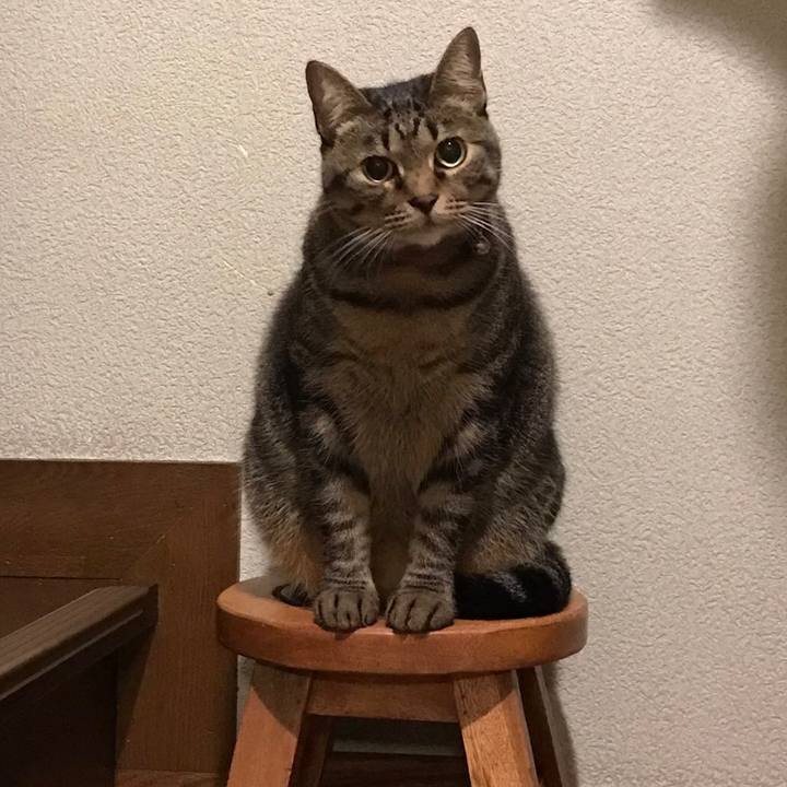 5fa95103 82ef 4779 aca1 256bdc1cee4e 1538571147025