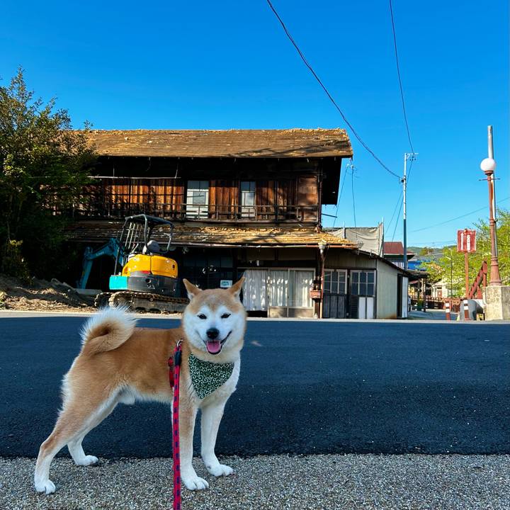 5fa972d8 a521 467f 83a2 38fdfb4681ce 1714293222479