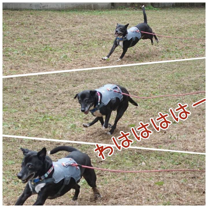 5fa99fe4 9bde 4aa9 92a3 68bbec4f74e7 1762995922072