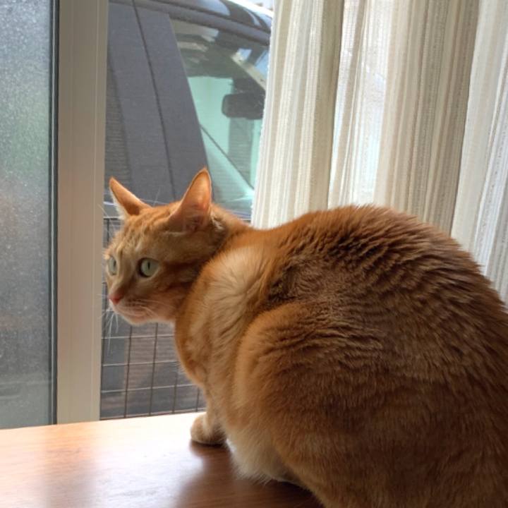 5fa9bbf2 1cd2 4dca 9549 a3d930e60c80 1583097948124