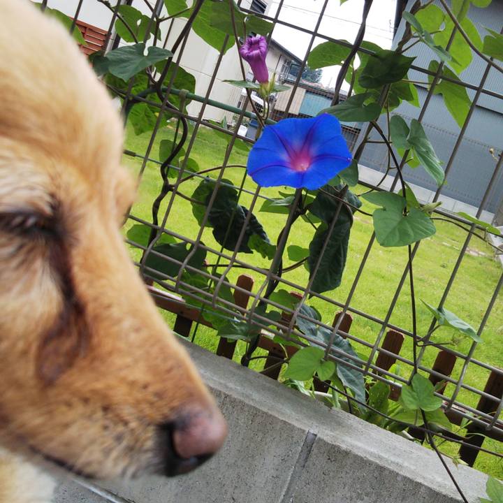 5fa9c0e0 5dfa 4982 bf0f c72a5227d1c6 1592778918632