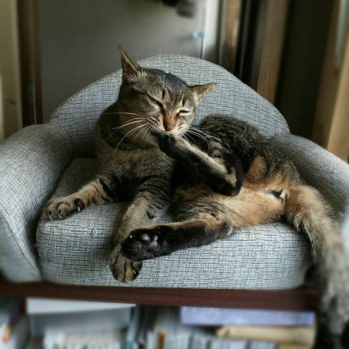 5fa9d7c2 e4bd 4137 813a e770e332d158 1530753831555