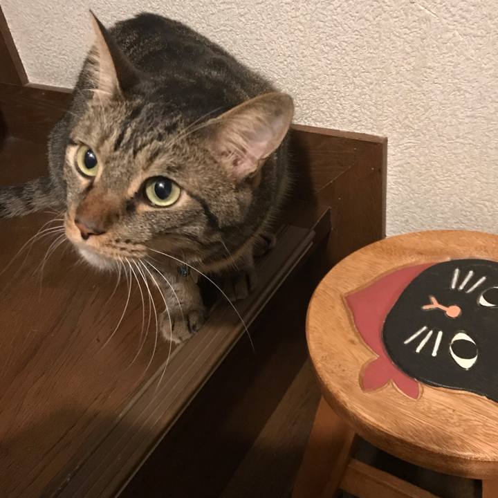 5fa9e9d2 9d59 4ea5 aca7 21e67fc3ddd0 1538571283617