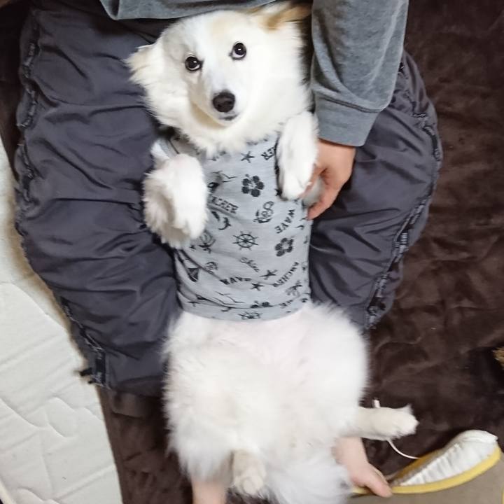 5fa9ed3f 5f72 4bd7 b994 97b188801d89 1652303325226