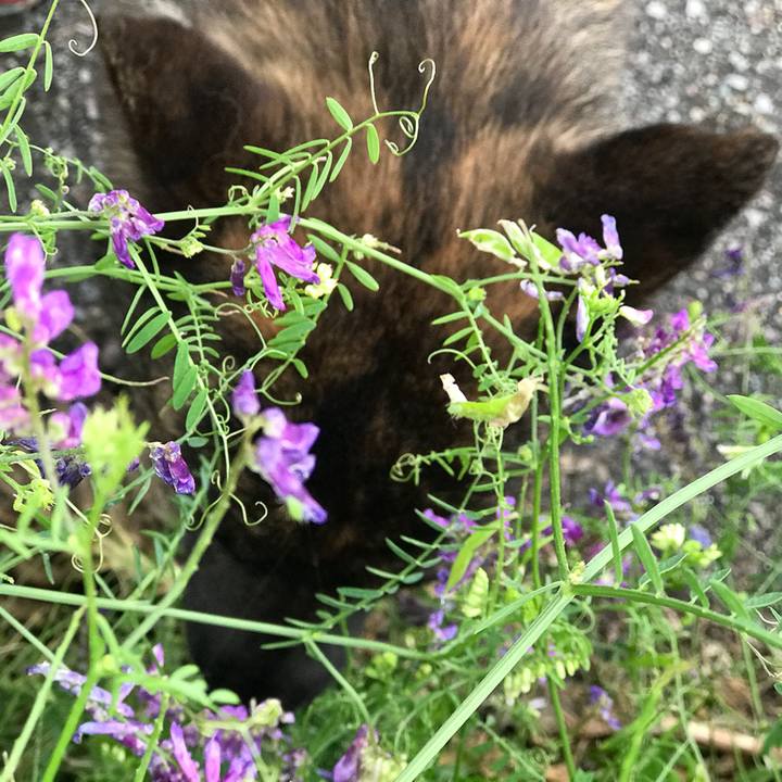 5fa9ed67 cfcc 4012 a92f 736e1f7ccb66 1530184113256