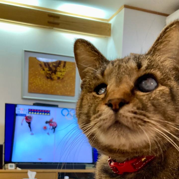 5faa049c b0ea 43fa ad27 98635e5b9878 1644629745274