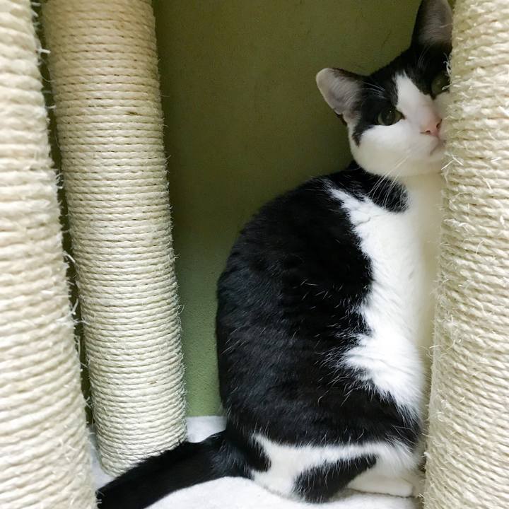 5faa0d26 fb4c 44c9 80da cae5d3c6116b 1524665467462