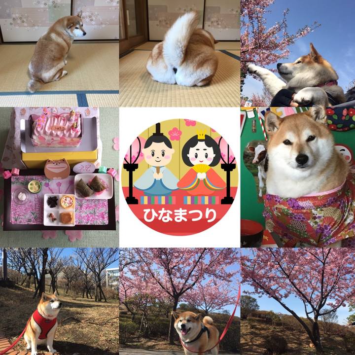 5faa33b2 d584 475b a76a 12051af67cd5 1614752019671