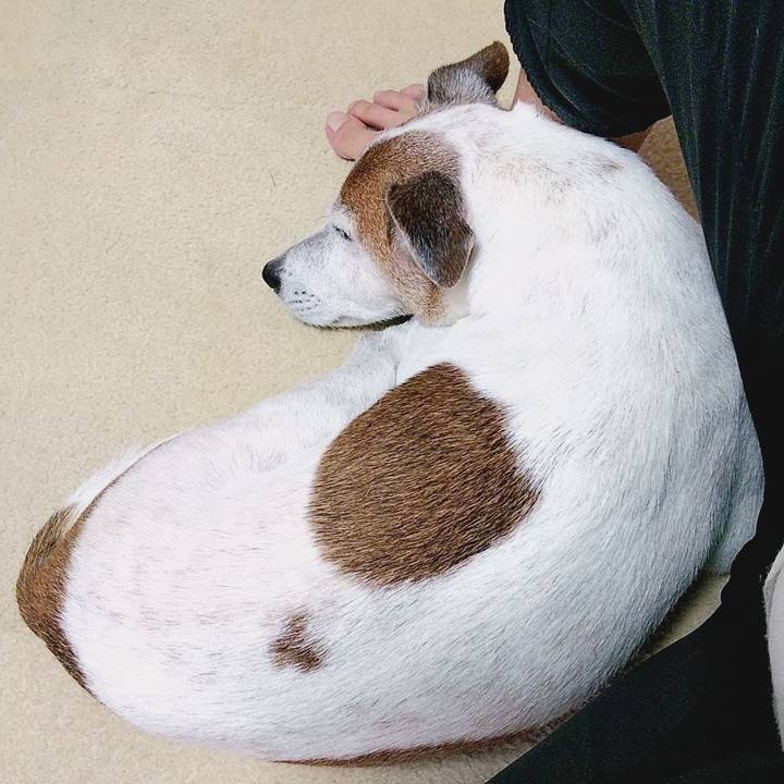 5faa5a66 0bb2 4cda a437 ccf4aa15a0b8 1568638538590