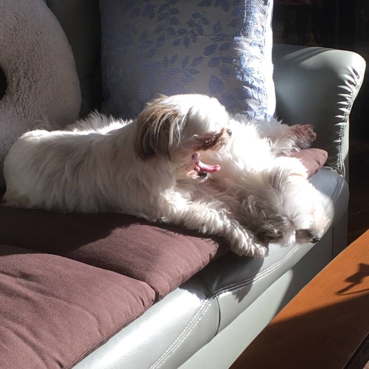 5faa6faa 0886 4e8c af0a ad10738bb9bf 1515301478146