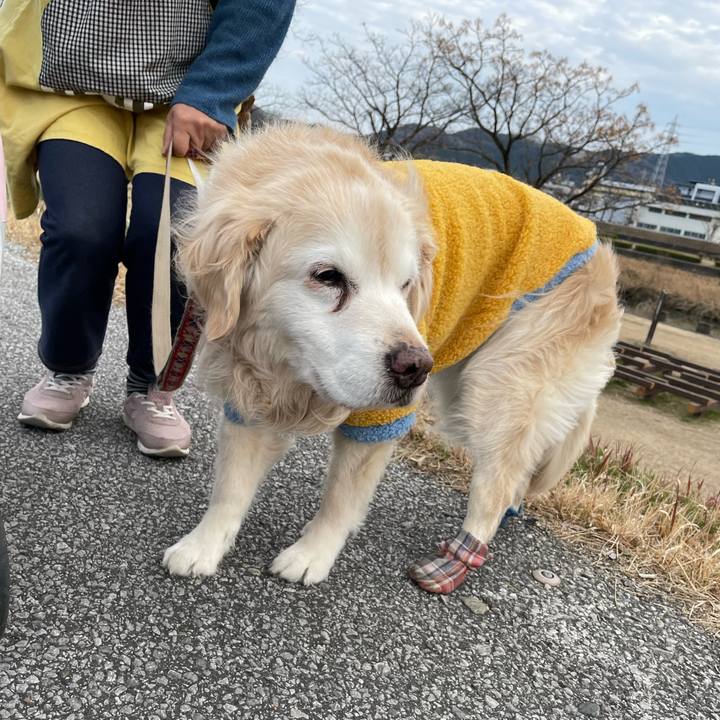 5faac6ca c7c2 461a b043 9e599f2a863b 1675940951080