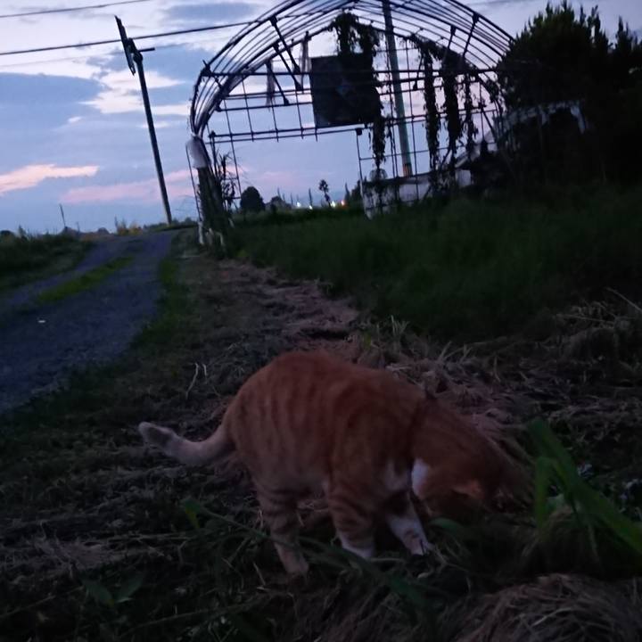 5fab16ce 040b 4751 b89a bc75c45f1018 1564396367214