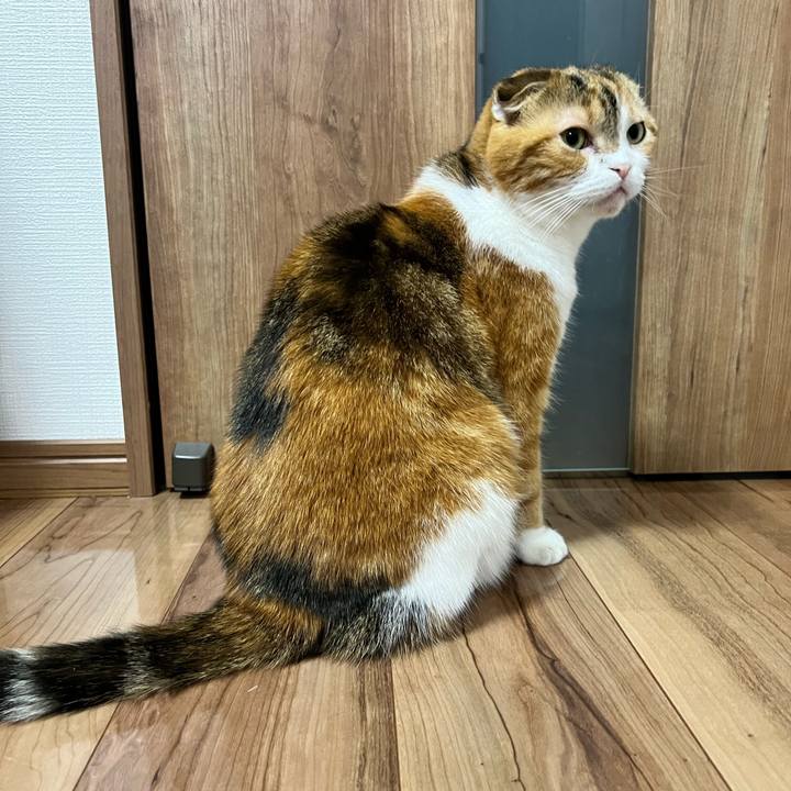 5fab2414 5f6c 495a b4f9 36f08ee12956 1702124748707