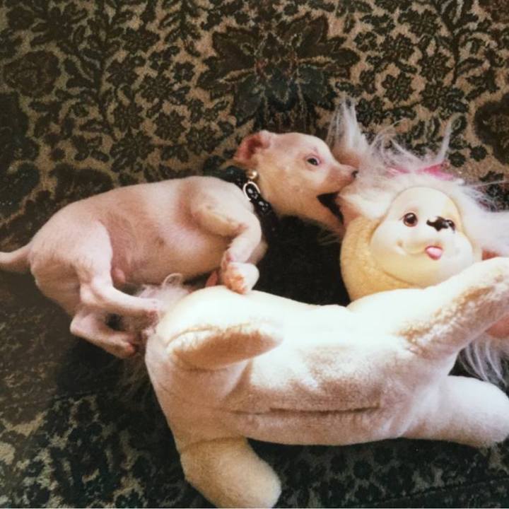 5fab2ea1 a270 4956 a86e 96de9081eb6d 1772285722634