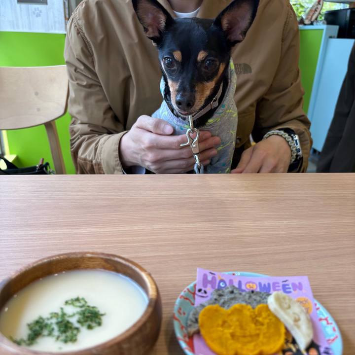 5fab3f1e 3096 44ee 898b ef814fa5d03e 1761617620119