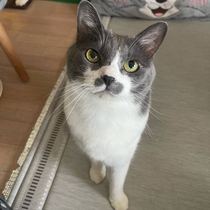 5fabca9c c265 4ff0 8af1 921993e49296 1752976995958