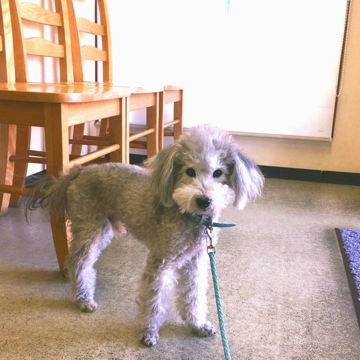 5fabe923 69a7 465f 99cf 4bbf25c85f1c 1727137731981