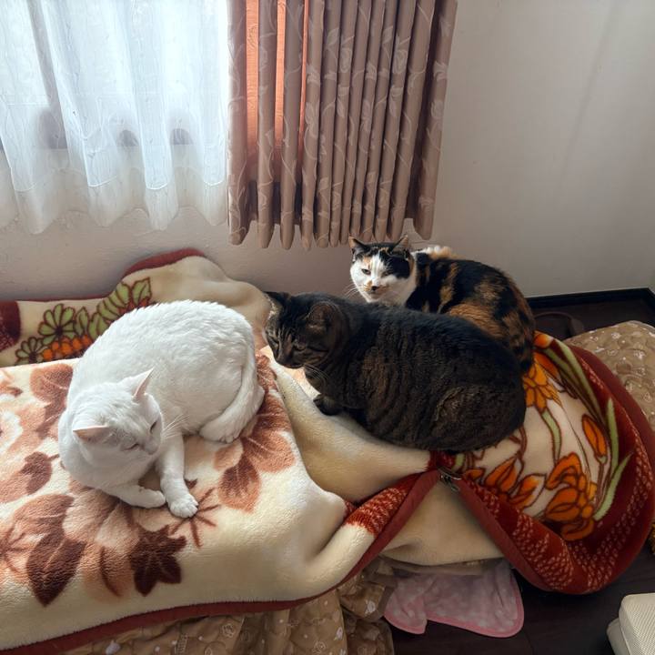 5fabebc5 467c 442f b185 77cc0ca30de8 1768805210799