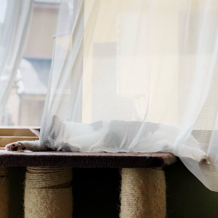 5fabed5d f9b6 41ad b324 436d020b22b1 1596677790435