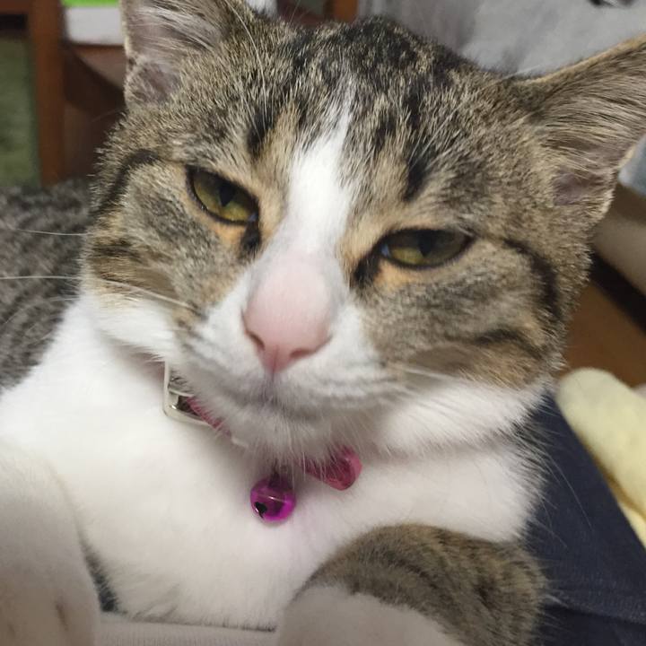 5fac28e6 7541 48c1 94c0 9035ce8fac79 1658545004605